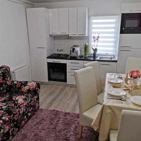Apartmán Apartament Gold Luxury Tîrgu Ocna Exteriér fotografie