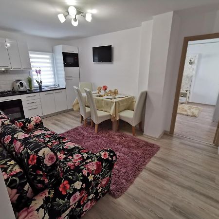 Apartmán Apartament Gold Luxury Tîrgu Ocna Exteriér fotografie